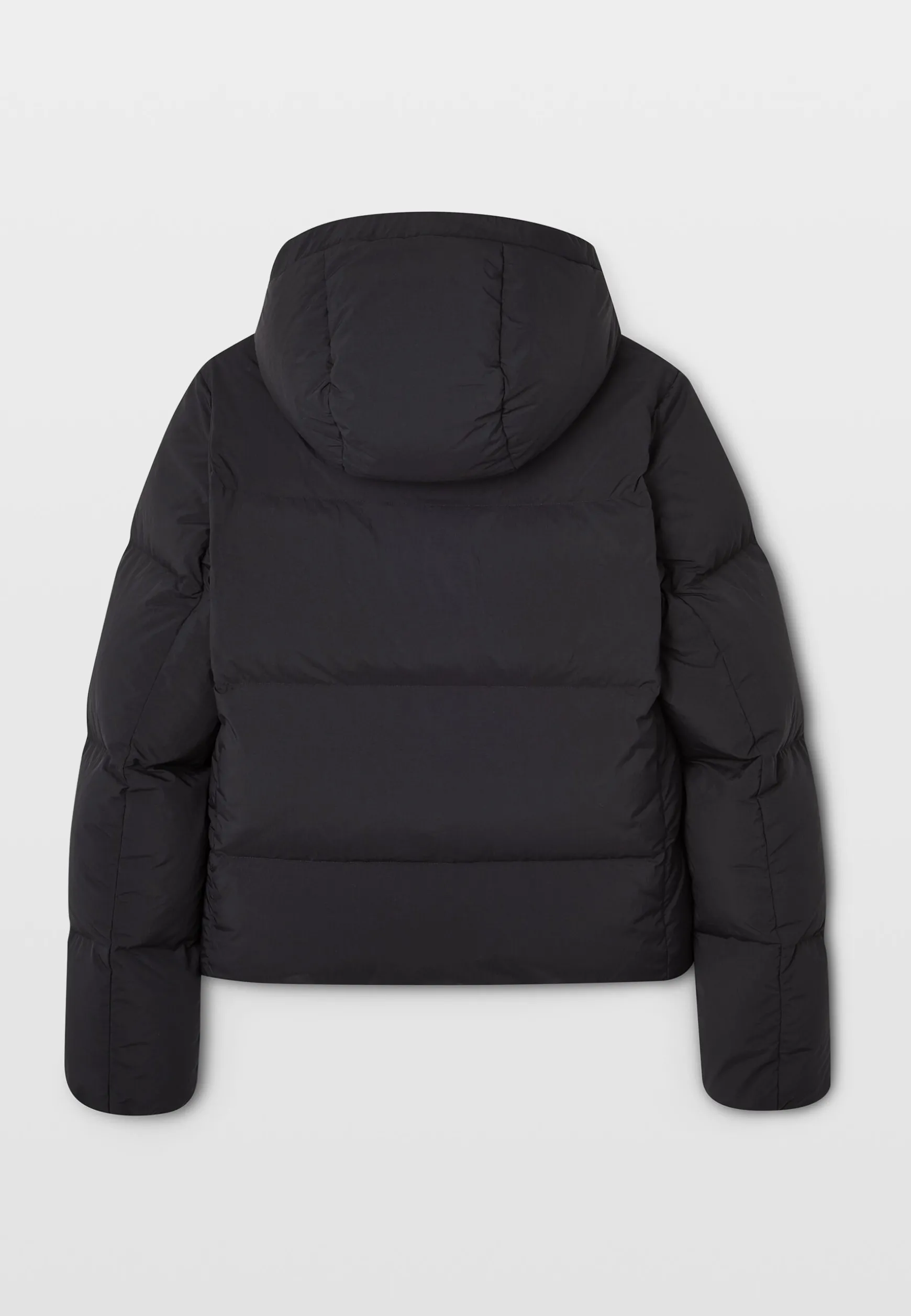 Discount BMW Lifestyle BMW Core Tag Hoodie-Jacke black